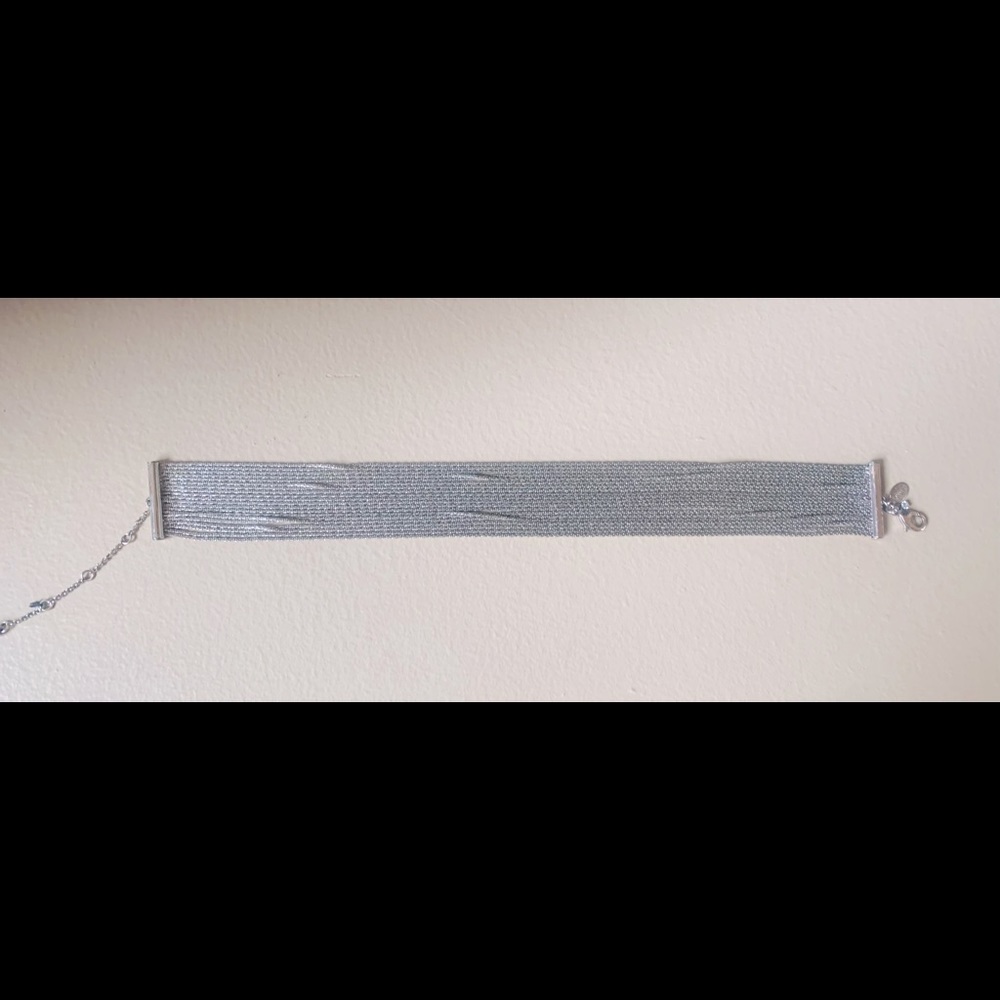 NWOT Express Liquid Silver Choker Originally $88